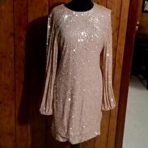 A rose gold sequin dress.